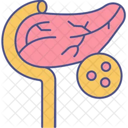 Pancreas  Icon