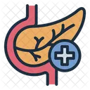 Pancreas Checkup Health Icon