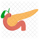 Pancreas Bile Duct Gallbladder Icon