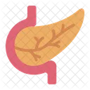 Pancreas Gland Organ Icon