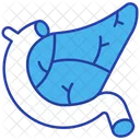 Pancreas  Icon