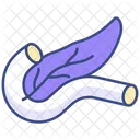 Pancreas Icon