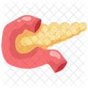 Pancreas Organ Body Part Icône