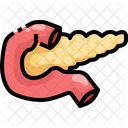 Pancreas Organ Body Part Icône