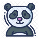 Panda Animal Eco Icon