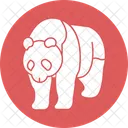 Panda Wild Nimal Icon