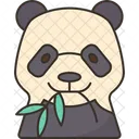 Panda  Icon