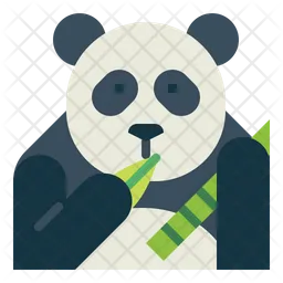 Panda  Icon