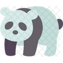 Panda Giant Animal Icon
