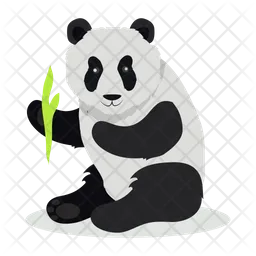 Panda  Icon