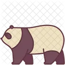 Panda Bear  Icon