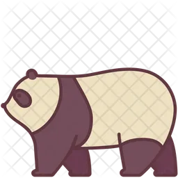 Panda Bear  Icon