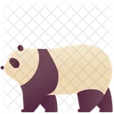 Zoo Animal Panda Icon