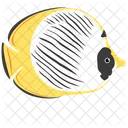 팬더 나비 물고기  아이콘