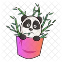 Panda in pocket with bamboo sticks  Icon