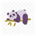 Panda Mignon Bebe Icon