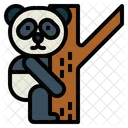 Panda na árvore  Icon