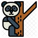 Panda On Tree  Icon