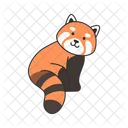 Panda rojo  Icono