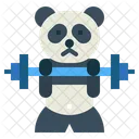 Panda Workout  Icon