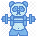 Panda Workout  Icon