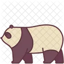 Pandabär  Symbol