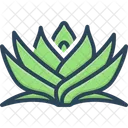Pandanus Screwpine Houseplant Icon