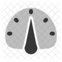 Panel Icono