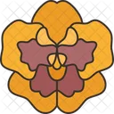 Pansy Flower Blossom Icon