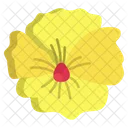 Pansy Flower Flowers Icon