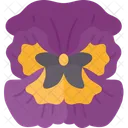 Pansy Flower Bloom Icon