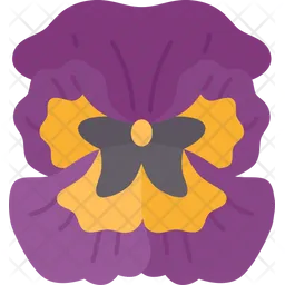 Pansy  Icon