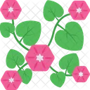 Pansy Flower Bloom Icon