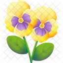 Pansy Flower Blossom Icon