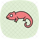 Camaleao Pantera Camaleao Pantera Reptil Ícone