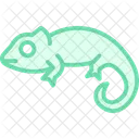 Panther Chameleon Icon