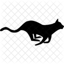 Panther Animals Icon