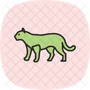 Panther Animal Wildlife Icon