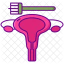 Pap Smear Pap Smear Icon