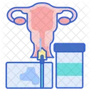 Pap Smear Checkup Organ Icon