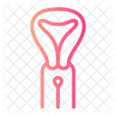 Pap Smear  Icon