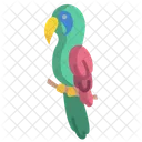 Papagaio Ícone