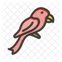 Passaro Animal Animal De Estimacao Ícone