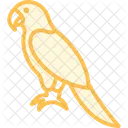 Papagei Haustier Vogel Icon