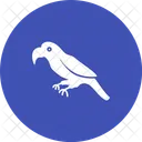 Papagei Tier Tierwelt Symbol