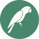 Papagei Tierwelt Vogel Symbol