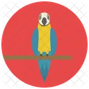 Papagei Haustier Vogel Symbol