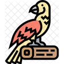 Papagei Ara Vogel Symbol