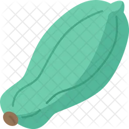 Papaya  Icon