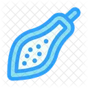 Papaya Fruit Healthy Icon